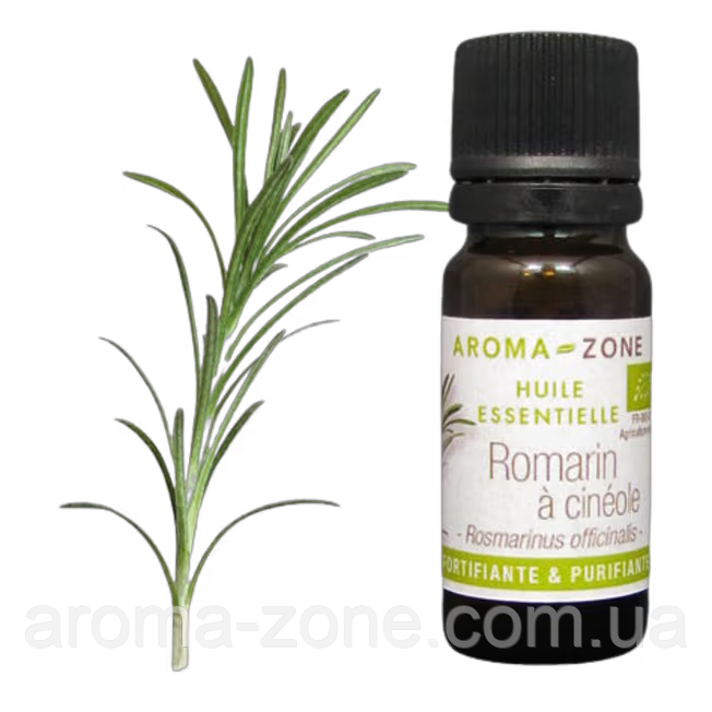 Розмарин цинеольный (Rosmarinus officinalis) BIO Об'єм: 30 мл