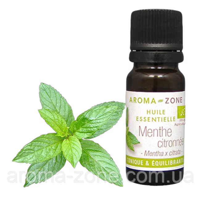 М'ята бергамотная (Mentha citrata) Об'єм: 10 мл