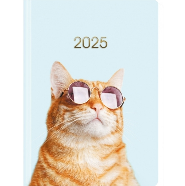 Щоденник датований на 2025р. "Кіт в очках" 336 ст., блакитний Е21843, фото 1