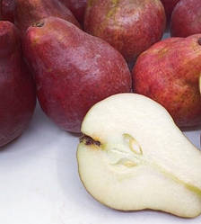 Новинка! Груша "Ред Сенсейшн" (ранньо-осінній сорт, канадської селекції)