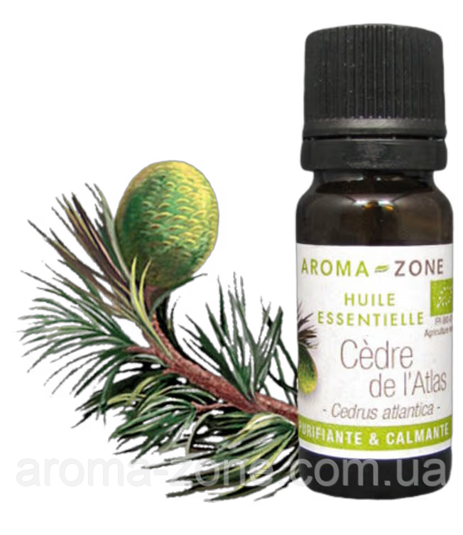 Кедр атласький (Cedrus atlantica) BIO Об'єм: 30 мл