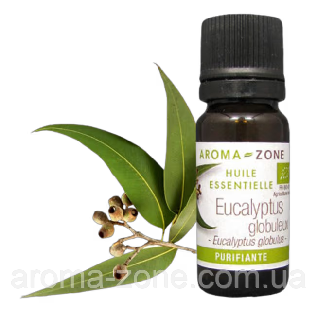 Евкаліпт кулястий (Eucalyptus globulus) BIO Об'єм: 10 мл