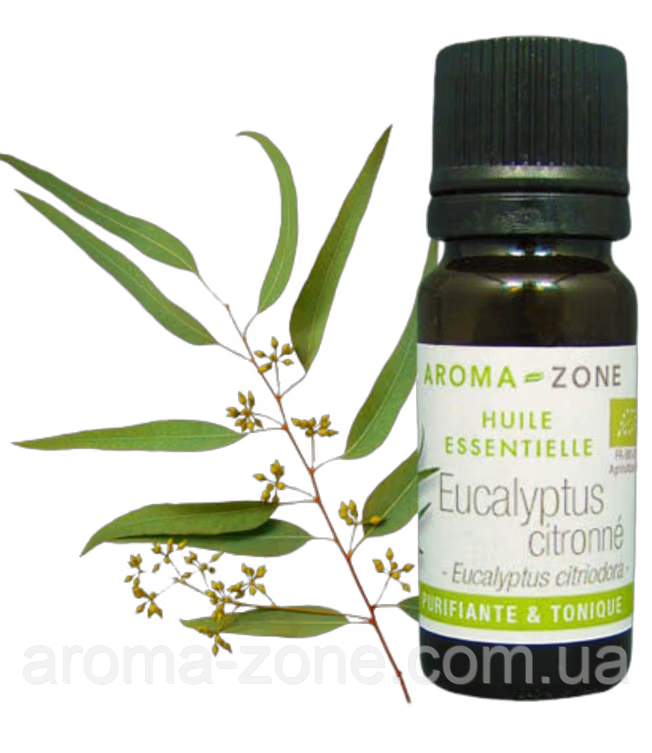 Евкаліпт лимонний (Eucalyptus citriodora) BIO 100 мл