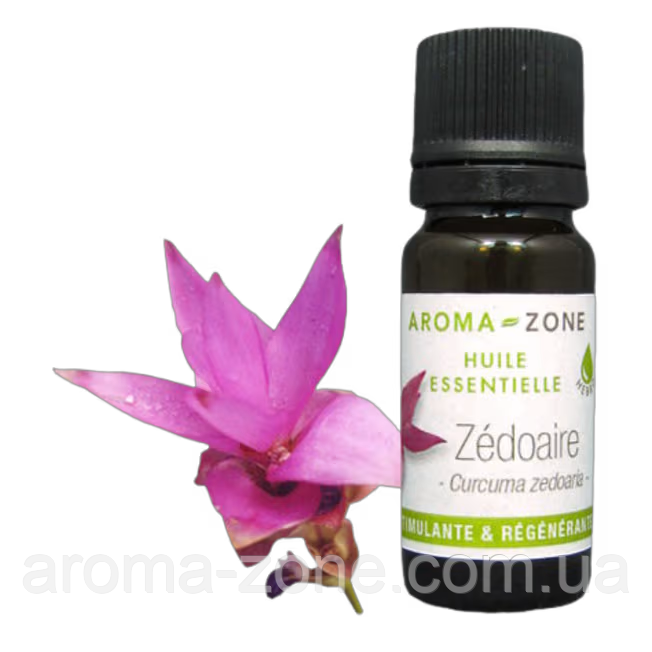 Цитварный корінь (Curcuma zedoaria) BIO Об'єм: 10 мл