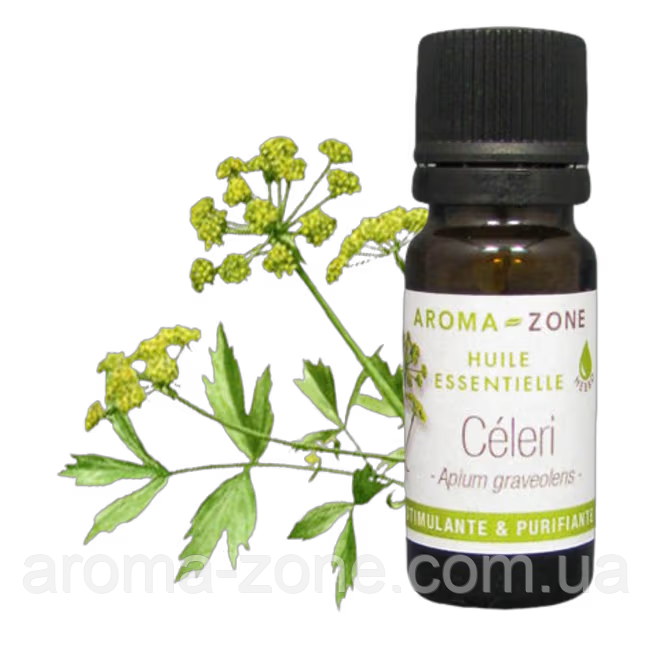 Селера (Apium graveolens) Об'єм: 10 мл
