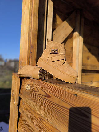 Уги UGG РИЖІ черевички CAMEL на липучках і високій підошві утеплені жіночі зимові ​​​​​​​LQD, фото 1