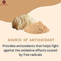 Real Mushrooms Lion's Mane / Їжовик гребінчастий для когнітивного здоров'я органік порошок 150 г. BX535, фото 5