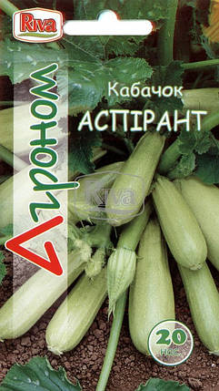 Насіння Кабачок кущовий Аспірант 20 насіння Riva, фото 1
