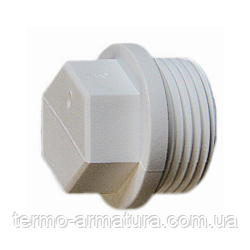 Заглушка ППР Ду 20 (1/2") зовнішня різьба Georg Fischer
