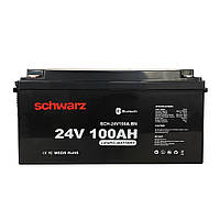 Акумулятор LiFePo4 (Літій-залізо-фосфатні) Schwarz 24V 100Ah BMS + Bluetooth
