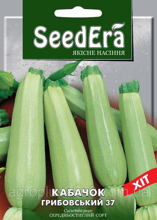 Насіння Кабачок кущовий Грибівський 20 грамів SeedEra