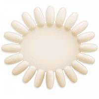 Ромашка щільна натуральна 10 шт.