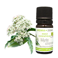 Мирт лимонний (Backhousia citriodora) Об'єм: 5 мл