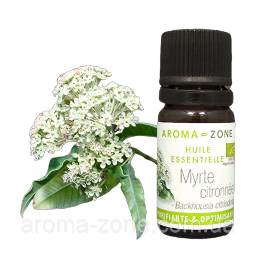 Мирт лимонний (Backhousia citriodora) Об'єм: 5 мл