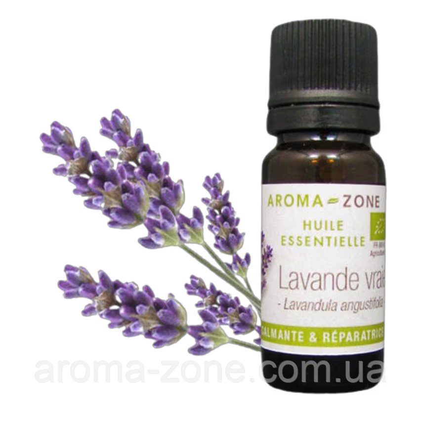 Ефірна олія Лаванда (Lavandula angustifolia) BIO, ( Болгарія) 10 мл