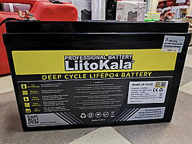 Аккумулятор Li-FePO 12.8V, 120Ah, 100А, 4000 циклов із вбудованим bms LP-12120 LiitoKala