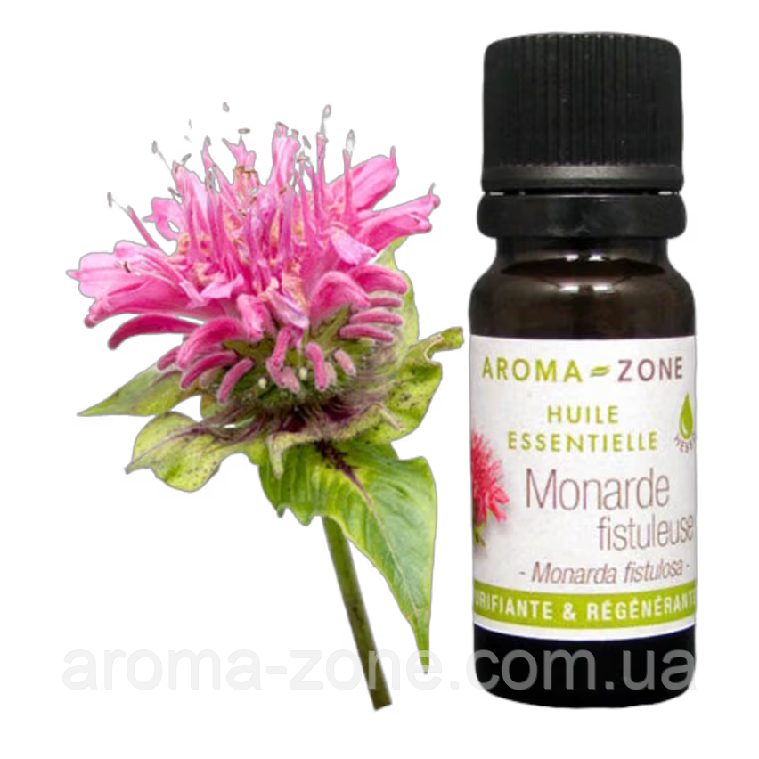Эфирное масло Монарда (Monarda fistulosa) 10 мл: продажа, цена в ...