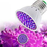 Світлодіодна лампа повного спектра E27 (фітолампа) для вирощування рослин 60 LED (QRCP-00393)