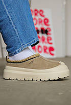 Зимові Черевики UGG Tasman Weather Hybrid Slipper Beige / УГГ Тасман Уезер Хайбрид Сліппер Бежеві, фото 3