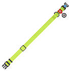 Нашийник для собак (вологостійкий) c QR-паспортом та пряжкою-фастекс, WAUDOG Waterproof, S / Амуніція для собак, фото 9