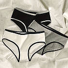 Набір жіночих трусів, розмір М, 3 шт / Жіночі труси сліпи / Комплект жіночих трусів / Бавовняні труси, фото 8