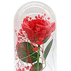 Троянда в колбі з деревом і підсвічуванням 22х8,5см, від USB, A-6, Червона / Нічник вічна троянда / Квітка в колбі, фото 5