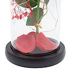 Троянда в колбі з деревом і підсвічуванням 22х8,5см, від USB, A-6, Червона / Нічник вічна троянда / Квітка в колбі, фото 6