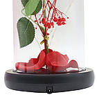 Троянда в колбі з деревом і підсвічуванням 22х8,5см, від USB, A-6, Червона / Нічник вічна троянда / Квітка в колбі, фото 9