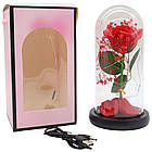 Троянда в колбі з деревом і підсвічуванням 22х8,5см, від USB, A-6, Червона / Нічник вічна троянда / Квітка в колбі, фото 10