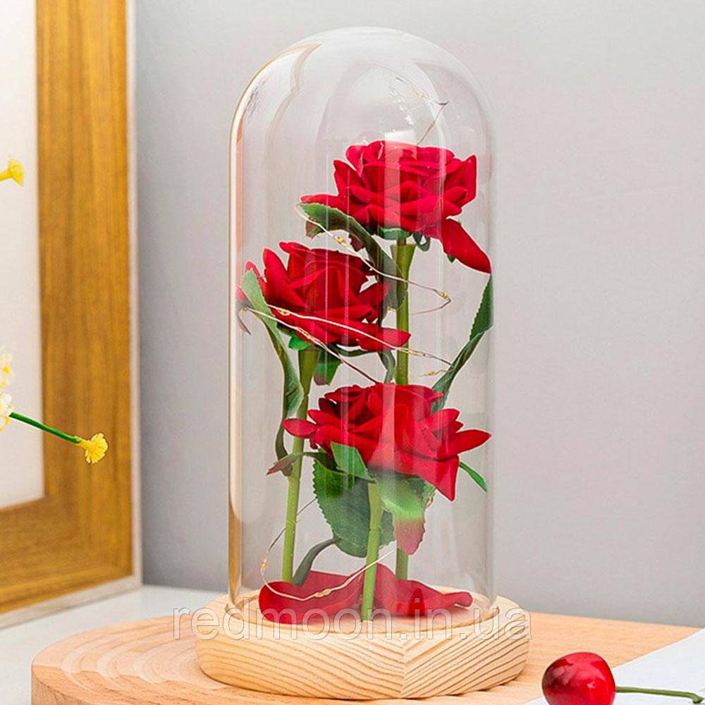 Роза в колбі з LED підсвічуванням, 23 см, на батарейках / Світильник-нічник троянда під куполом / Подарунок для дівчини, фото 1