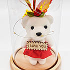 Троянда в колбі з ведмедиком та підсвічуванням 21см, на батарейках A-7 / Нічник вічна троянда під куполом / Подарункова троянда, фото 4