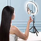 Кільцева лампа 46см + 3 тримачі, від 220В, BD-460 / Набір блогера / Селфі лампа / LED лампа кільцева, фото 2
