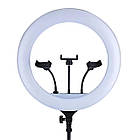 Кільцева лампа 46см + 3 тримачі, від 220В, BD-460 / Набір блогера / Селфі лампа / LED лампа кільцева, фото 3