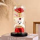 Троянда в колбі з ведмедиком і підсвічуванням 21х11см, A-3 / Нічник вічна троянда / Квітка в скляній колбі, фото 2