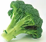 Капуста броколі Монако F1, 15 шт, фото 2