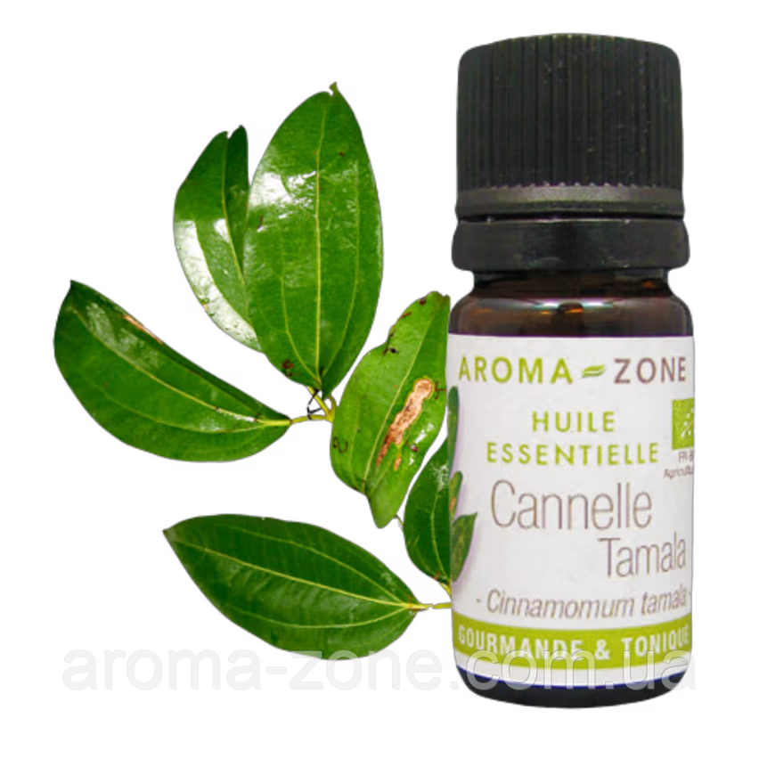 Кориця Тамала (Cinnamomum tamala) BIO Об'єм: 5 мл