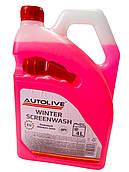 Омивач скла зимовий AUTOLIVE (-20*C) 4л з лійкою (Bublegum)