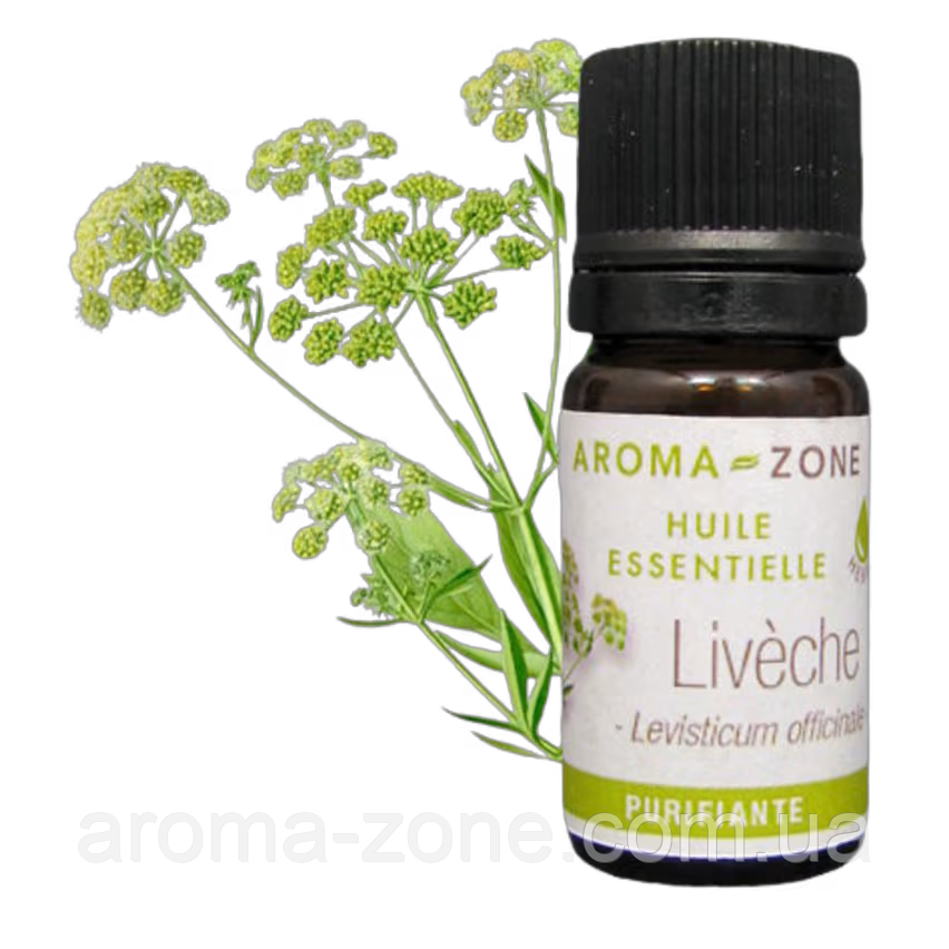 Любисток (Levisticum officinale) Об'єм: 5 мл