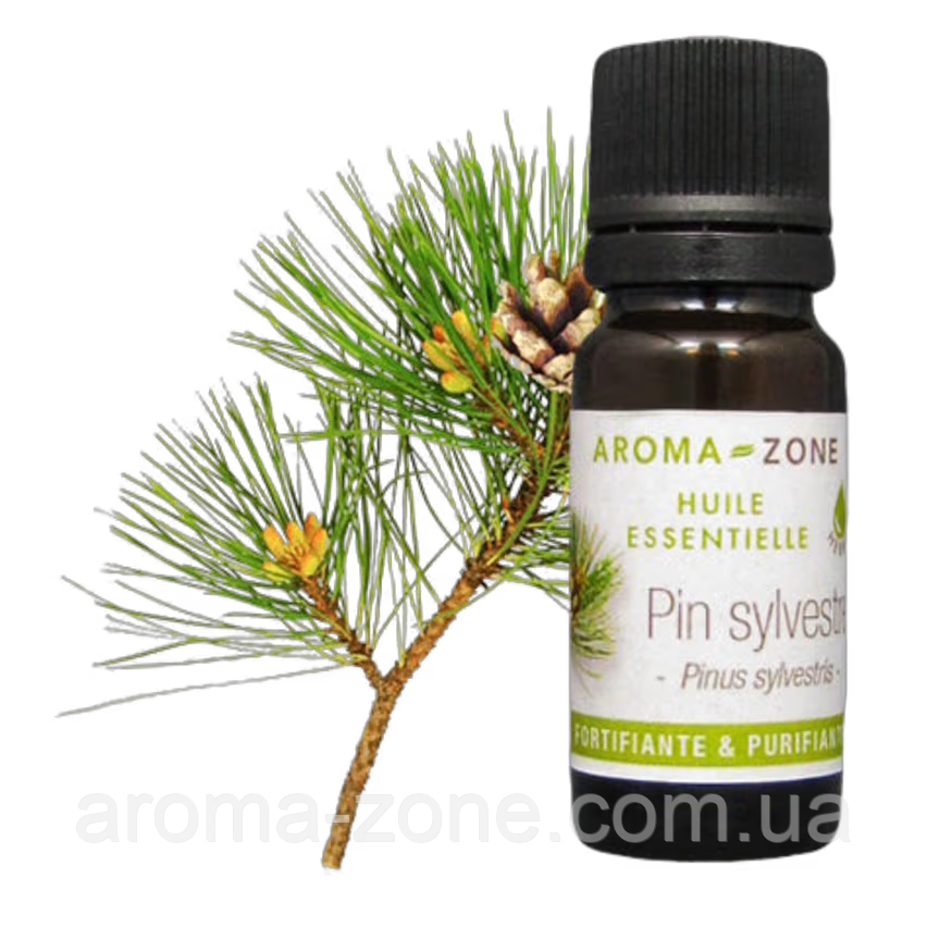 Сосна (Pinus sylvestris) Об'єм: 100 мл