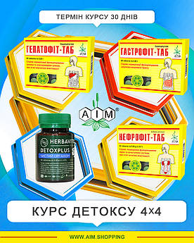 Курс Детокс 4*4 АІМ
