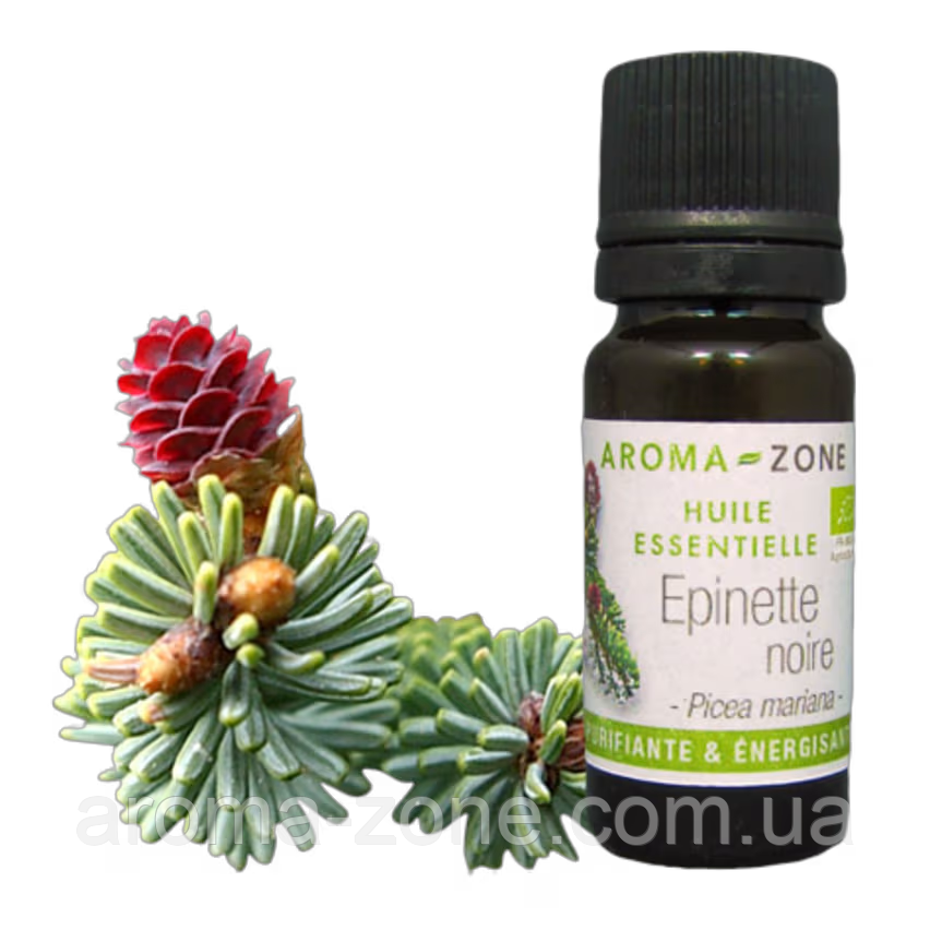 Ялина чорна (Picea mariana) BIO Об'єм: 30 мл