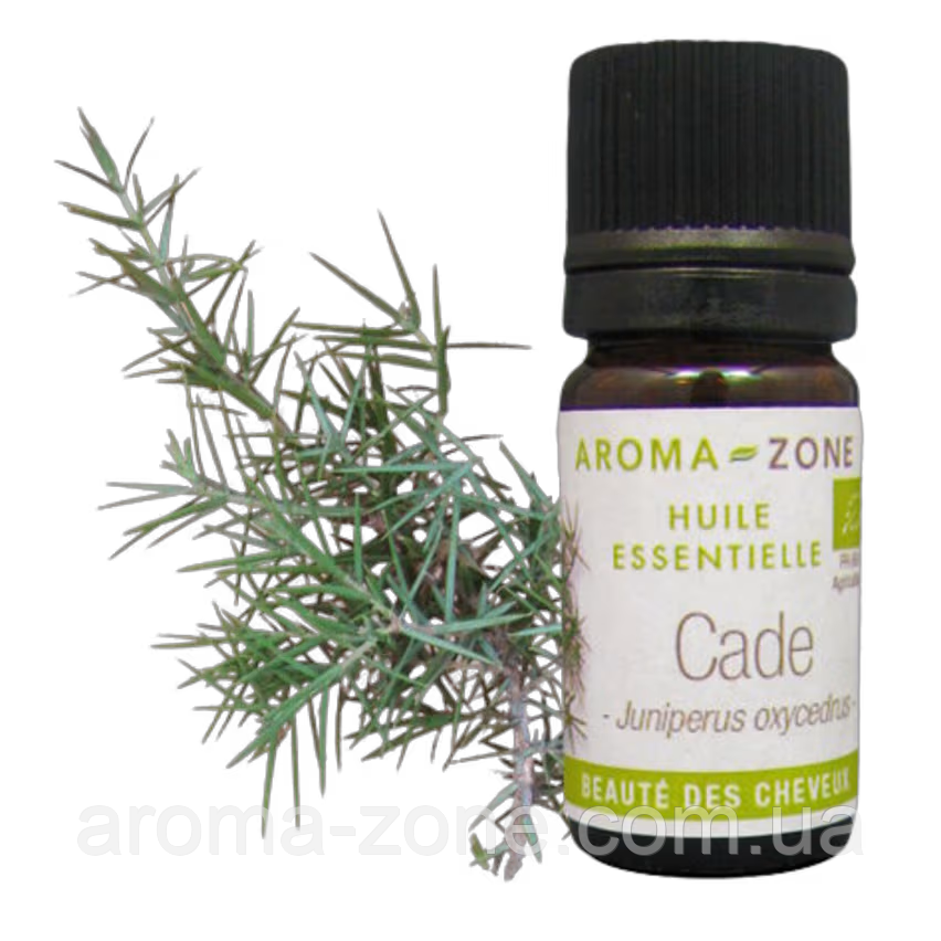 Ялівець колючий (Juniperus oxycedrus) BIO Об'єм: 5 мл