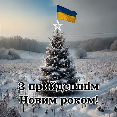 З Новим 2025 роком!
