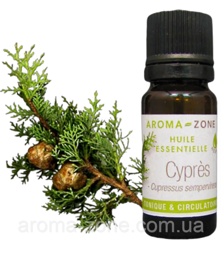 Кипарис вічнозелений (Cupressus sempervirens) Об'єм: 10 мл