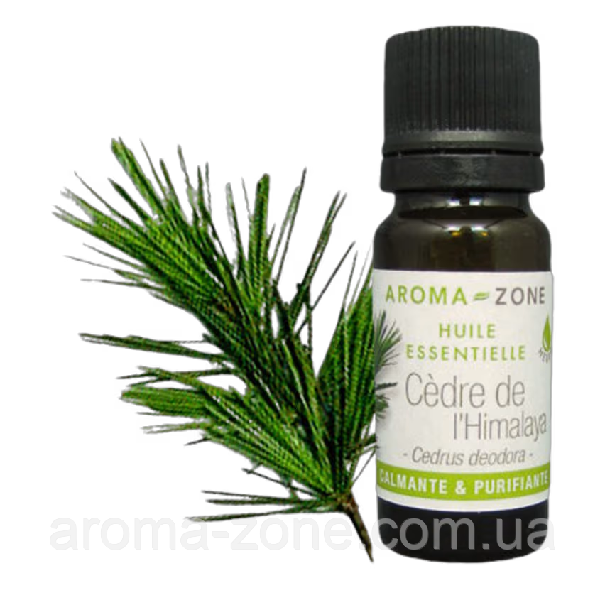Кедр гімалайський (Cedrus deodora) Об'єм: 30 мл