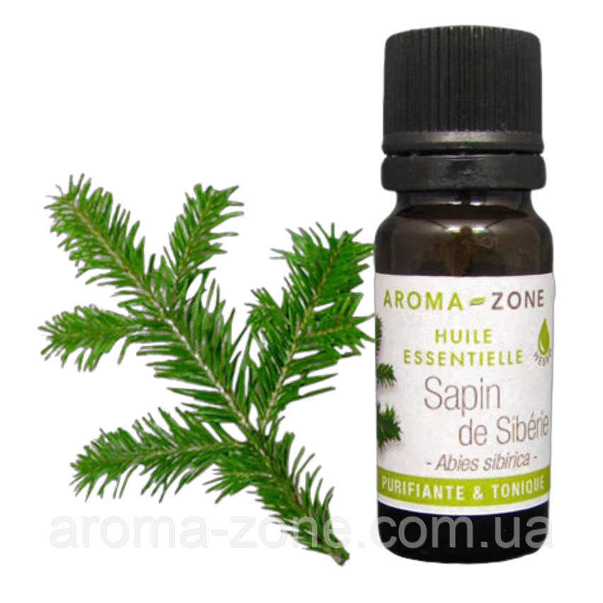Ялиця сибірська (Abies sibirica) Об'єм: 10 мл