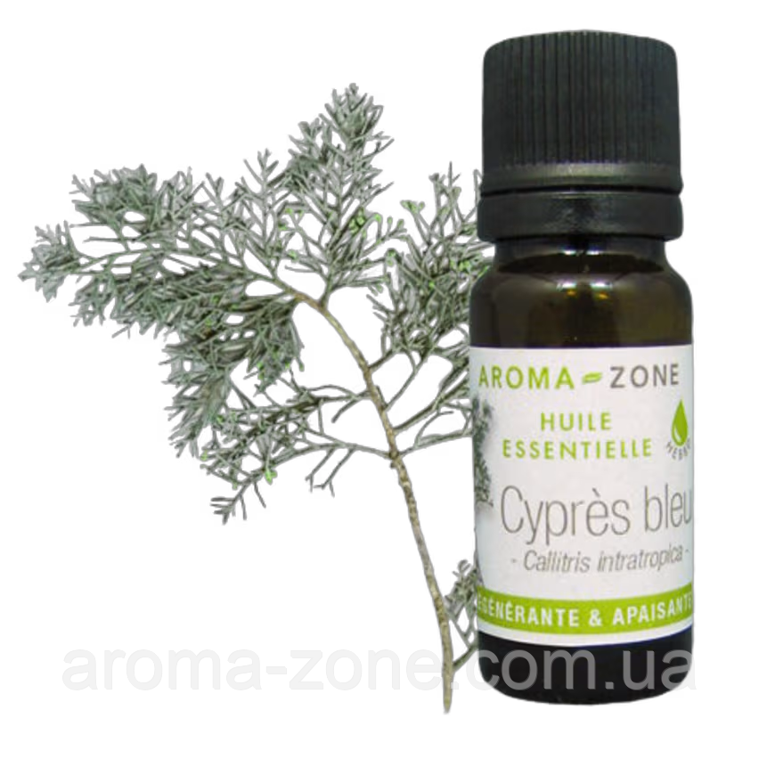 Кипарис блакитний (Callitris intratropica) Об'єм: 5 мл