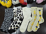 Носки жіночі демісезон 35-39, фото 4