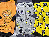 Носки жіночі демісезон 35-39, фото 9