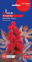 Насіння Рицини Імпала Роуз (5шт), For Hobby, TM GL Seeds